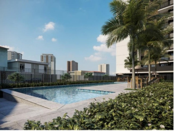 Imagem Apartamento com 3 Quartos à Venda, 70 m² em Ferreira - São Paulo