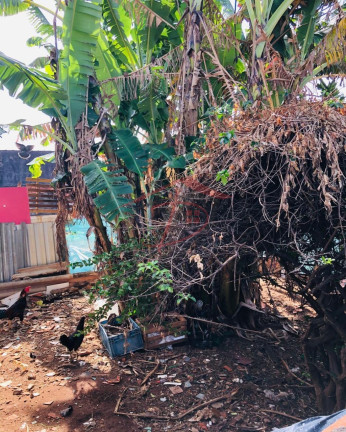 Imagem Imóvel à Venda, 200 m² em Parque Cidade Campinas - Campinas Imagem Imóvel à Venda, 200 m² em Parque Cidade Campinas - Campinas