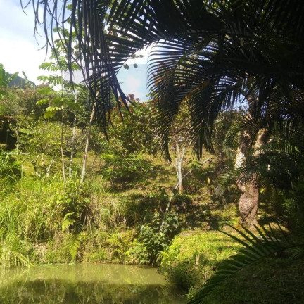 Imagem Chácara com 3 Quartos à Venda, 2.000 m² em Enseada - São Sebastião