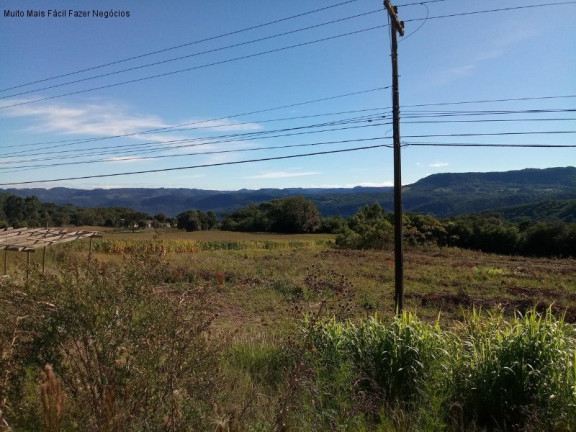 Terreno à Venda, 1 m² em Linha Araripe - Nova Petrópolis