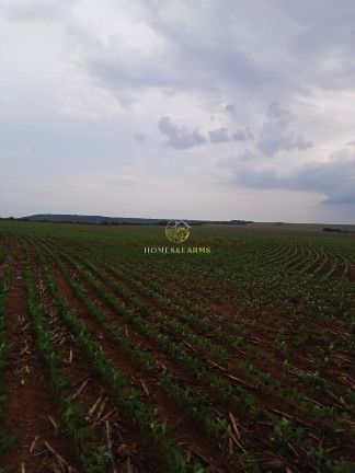 Imagem Imóvel com 3 Quartos à Venda, 150 m² em Zona Rural - Nova Mutum Imagem Imóvel com 3 Quartos à Venda, 150 m² em Zona Rural - Nova Mutum