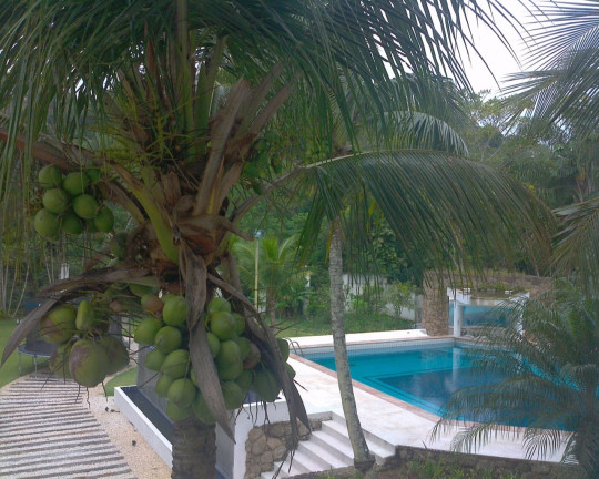 Imagem Casa com 7 Quartos à Venda, 1.000 m² em Acapulco - Guarujá