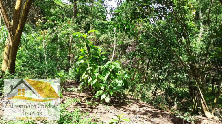 Terreno à Venda, 1.570 m² em Parque Dom João Vi - Nova Friburgo