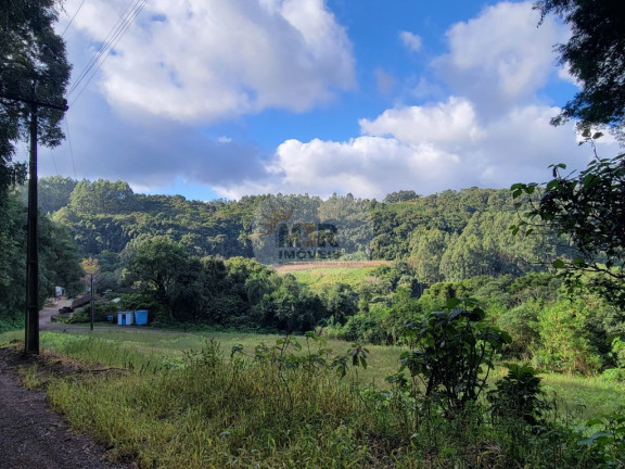 Imagem Imóvel com 2 Quartos à Venda, 80 m² em Pinhal Alto - Nova Petrópolis