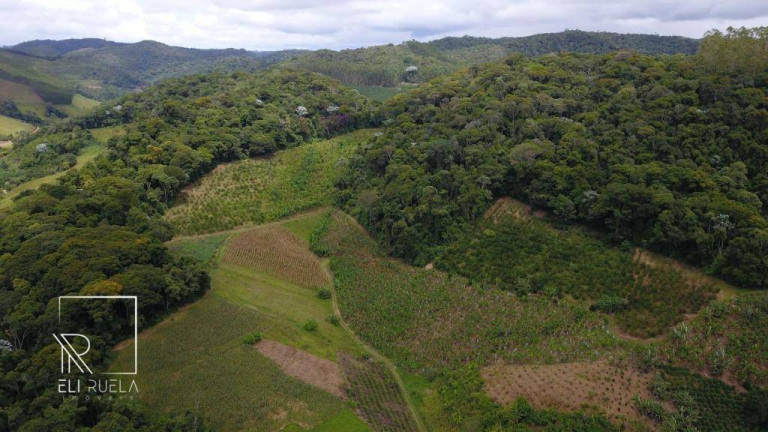 Imagem Chácara com 3 Quartos à Venda, 30.000 m² em Boa Esperança - Marechal Floriano