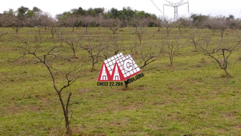 Imagem Imóvel com 3 Quartos à Venda, 968.000 m² em Pilar Do Sul - Pilar Do Sul