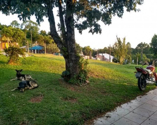 Imagem Imóvel com 3 Quartos à Venda,  em Vale Verde - Nova Petrópolis