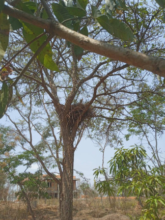 Imagem Chácara à Venda, 1.999 m² em Condomínio Tiradentes - Brumadinho Imagem Chácara à Venda, 1.999 m² em Condomínio Tiradentes - Brumadinho