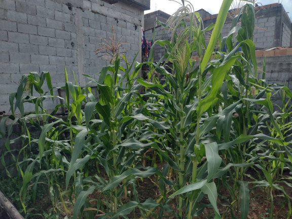 Imagem Terreno à Venda, 120 m² em Jardim Itapuã - Itaquaquecetuba