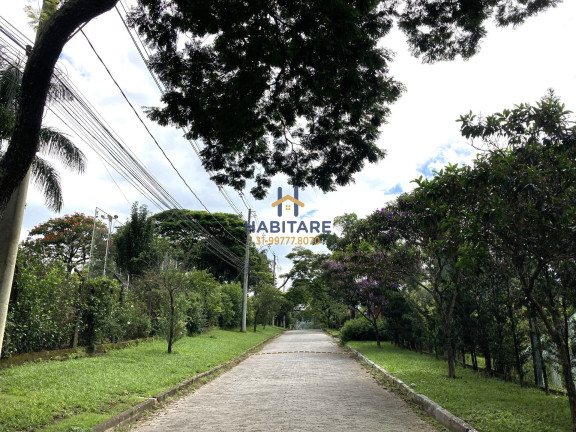 Imagem Terreno à Venda, 1.895 m² em Quintas Da Jangada - Sarzedo Imagem Terreno à Venda, 1.895 m² em Quintas Da Jangada - Sarzedo