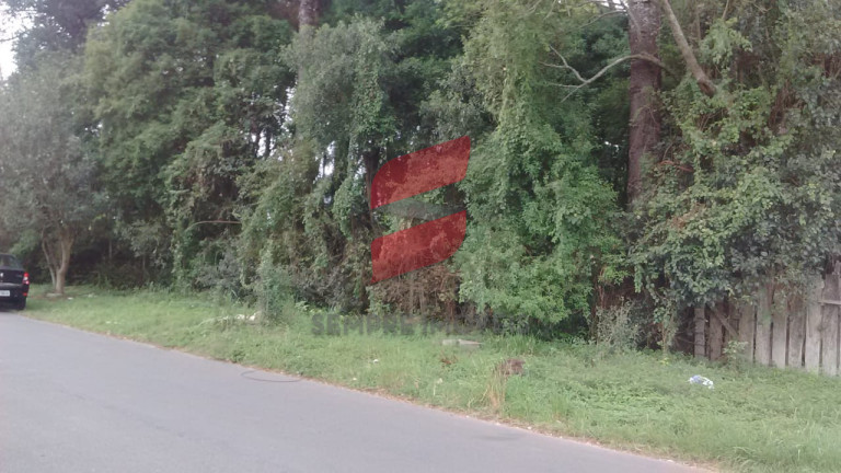 Terreno à Venda, 3.125 m² em Cajuru - Curitiba