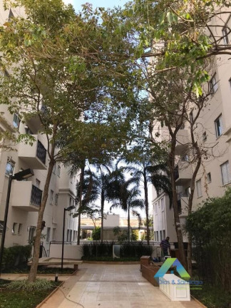 Imagem Apartamento com 3 Quartos à Venda, 70 m² em Jardim Aeroporto - São Paulo