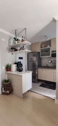 Imagem Apartamento com 2 Quartos à Venda, 50 m² em Cidade Ademar - São Paulo Imagem Apartamento com 2 Quartos à Venda, 50 m² em Cidade Ademar - São Paulo
