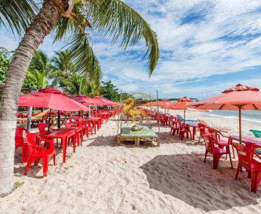 Imagem Casa à Venda, 15.000 m² em Praia Do Mutá - Porto Seguro