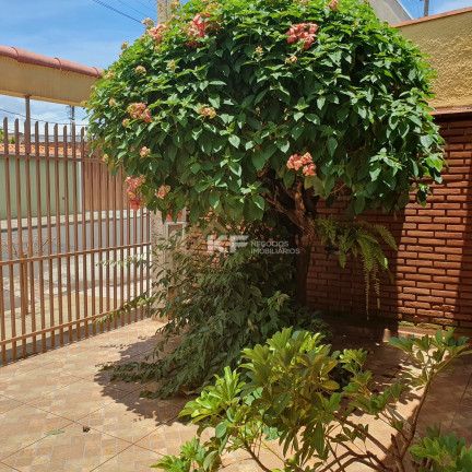 Imagem Casa com 3 Quartos à Venda, 108 m² em Ipiranga - Ribeirão Preto Imagem Casa com 3 Quartos à Venda, 108 m² em Ipiranga - Ribeirão Preto