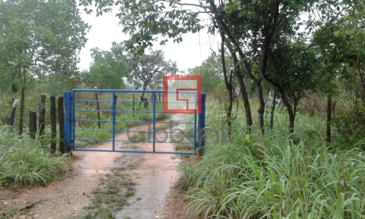 Imóvel com 3 Quartos à Venda,  em Zona Rural - Montes Claros