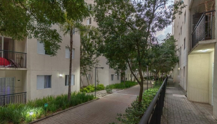 Imagem Imóvel com 2 Quartos à Venda, 50 m² em Vila Mendes - São Paulo
