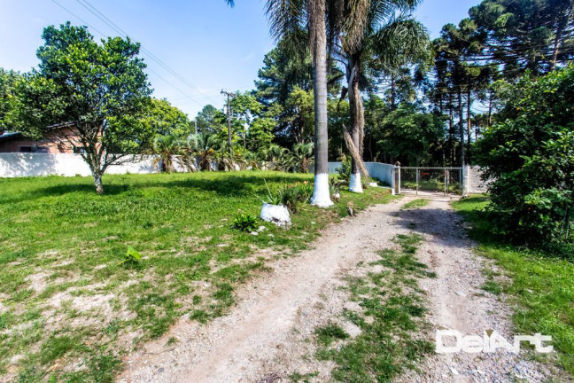 Imagem Chácara com 5 Quartos à Venda, 220 m² em Campina Dos Andrade - Rio Negro Imagem Chácara com 5 Quartos à Venda, 220 m² em Campina Dos Andrade - Rio Negro