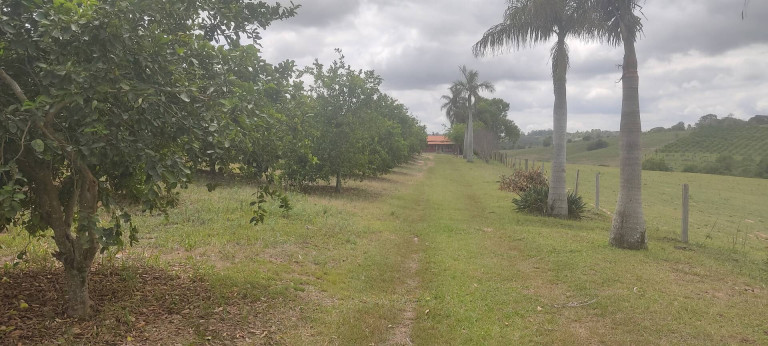 Imagem Chácara com 3 Quartos à Venda, 48 m² em Cercadinho - Capela Do Alto Imagem Chácara com 3 Quartos à Venda, 48 m² em Cercadinho - Capela Do Alto