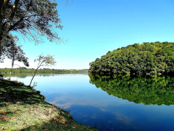 Imóvel à Venda, 20.000 m² em Botiatuva - Campo Largo