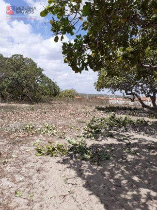 Imagem Fazenda à Venda, 50.000 m² em Centro - João Câmara Imagem Fazenda à Venda, 50.000 m² em Centro - João Câmara