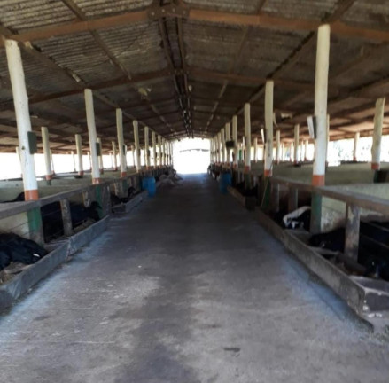 Imagem Fazenda à Venda, 124 m² em Rural - Itapetininga Imagem Fazenda à Venda, 124 m² em Rural - Itapetininga