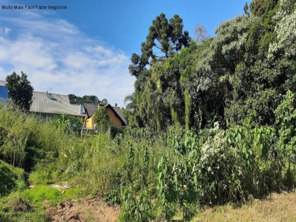 Imagem Terreno à Venda, 456 m² em Platanos Ii - Nova Petrópolis Imagem Terreno à Venda, 456 m² em Platanos Ii - Nova Petrópolis