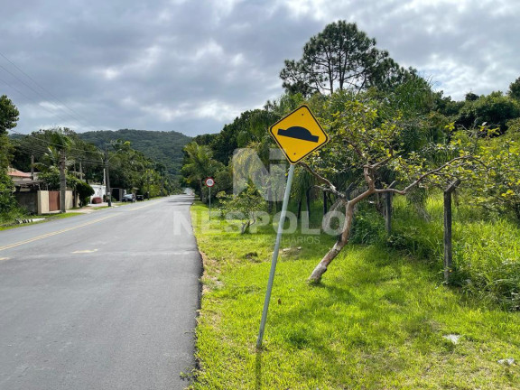 Imagem Terreno à Venda, em Praia Do Estaleiro - Balneario Camboriu Imagem Terreno à Venda, em Praia Do Estaleiro - Balneario Camboriu