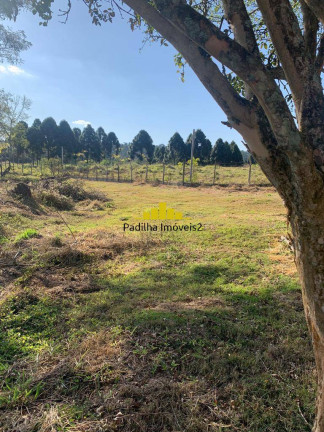 Imagem Chácara à Venda, 5 m² em Rural - Itapetininga