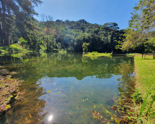 Imagem Imóvel com 14 Quartos à Venda, 56.000 m² em Barnabés - Juquitiba Imagem Imóvel com 14 Quartos à Venda, 56.000 m² em Barnabés - Juquitiba