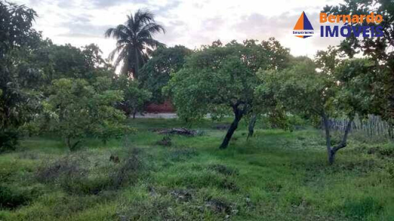 Imagem Chácara à Venda, 5 m² em Caponga - Cascavel Imagem Chácara à Venda, 5 m² em Caponga - Cascavel
