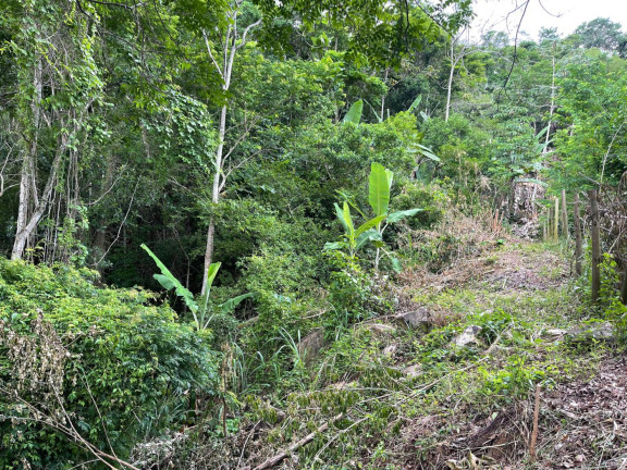 Imagem Terreno à Venda, 2.000 m² em Guaratiba - Rio De Janeiro Imagem Terreno à Venda, 2.000 m² em Guaratiba - Rio De Janeiro