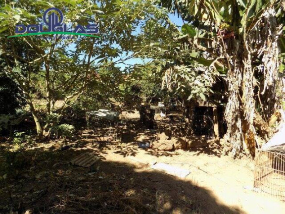 Imagem Imóvel Comercial à Venda, 5.000 m² em águas Claras - Viamão Imagem Imóvel Comercial à Venda, 5.000 m² em águas Claras - Viamão