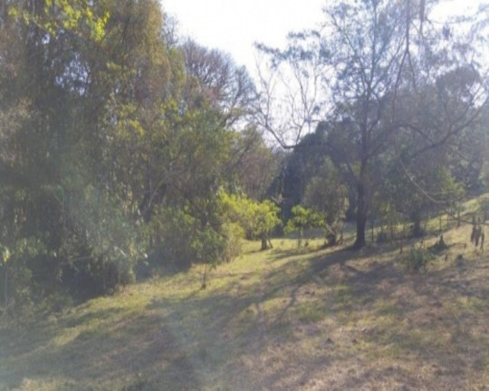 Imagem Terreno à Venda, 3 m² em Fazenda Pirajá - Nova Petrópolis Imagem Terreno à Venda, 3 m² em Fazenda Pirajá - Nova Petrópolis