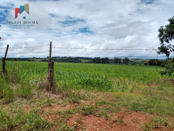 Imagem Imóvel com 1 Quarto à Venda, 484.000 m² em Centro - Tatuí Imagem Imóvel com 1 Quarto à Venda, 484.000 m² em Centro - Tatuí