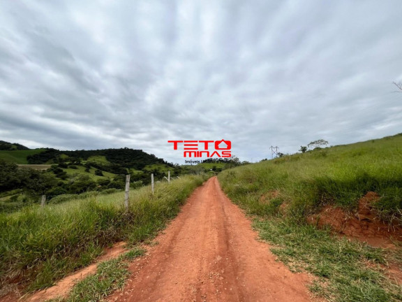 Imagem Imóvel à Venda, em Zona Rural De São Lourenço - São Lourenço Imagem Imóvel à Venda, em Zona Rural De São Lourenço - São Lourenço