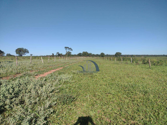 Imagem Fazenda à Venda, 10.210.000 m² em Centro - Ribas Do Rio Pardo Imagem Fazenda à Venda, 10.210.000 m² em Centro - Ribas Do Rio Pardo