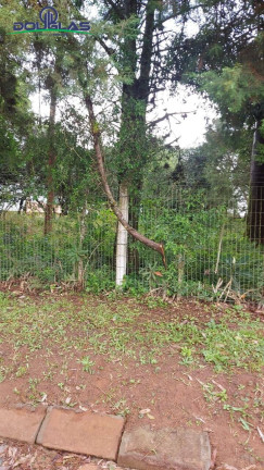 Imagem Terreno à Venda, 600 m² em águas Claras - Viamão Imagem Terreno à Venda, 600 m² em águas Claras - Viamão