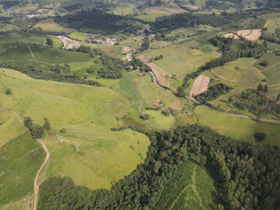 Imagem Fazenda à Venda, 4.300.000 m² em Zona Rural - Poços De Caldas