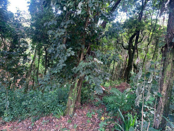 Imagem Terreno em Condomínio à Venda, 2.600 m² em Condomínio Retiro Do Chalé - Brumadinho Imagem Terreno em Condomínio à Venda, 2.600 m² em Condomínio Retiro Do Chalé - Brumadinho