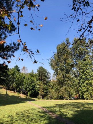 Imagem Imóvel com 3 Quartos à Venda,  em Granja Viana Ii - Cotia