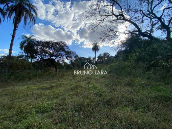 Imagem Terreno à Venda, 120.000 m² em Novo Horizonte - Igarapé Imagem Terreno à Venda, 120.000 m² em Novo Horizonte - Igarapé