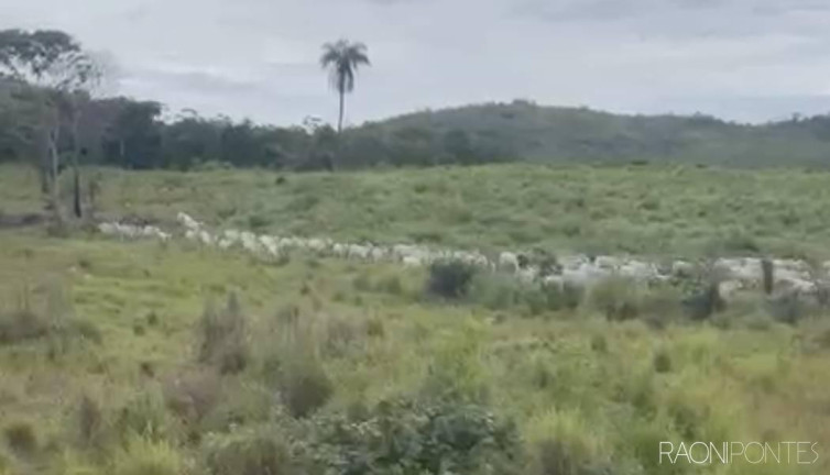 Imagem Fazenda à Venda, 11.470.800 m² em Zona Rural - Paranã Imagem Fazenda à Venda, 11.470.800 m² em Zona Rural - Paranã