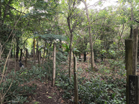 Imagem Chácara com 1 Quarto à Venda, 6 m² em Jundiaquara - Araçoiaba Da Serra Imagem Chácara com 1 Quarto à Venda, 6 m² em Jundiaquara - Araçoiaba Da Serra