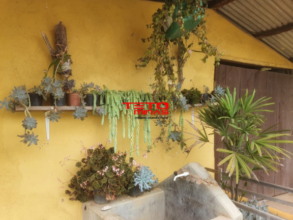 Imagem Imóvel com 2 Quartos à Venda, 190 m² em Zona Rural De São Lourenço - São Lourenço