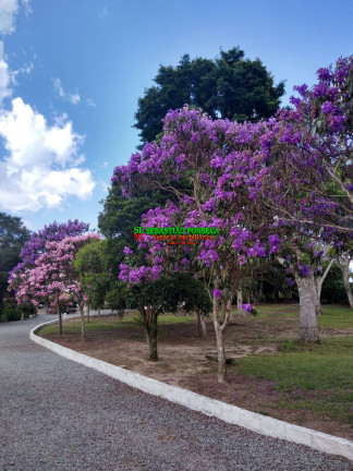Imagem Chácara com 5 Quartos à Venda, 6.160 m² em Centro - Paraibuna Imagem Chácara com 5 Quartos à Venda, 6.160 m² em Centro - Paraibuna