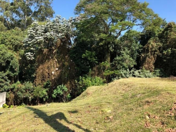 Imagem Terreno à Venda, 520 m² em Granja Viana - Cotia Imagem Terreno à Venda, 520 m² em Granja Viana - Cotia