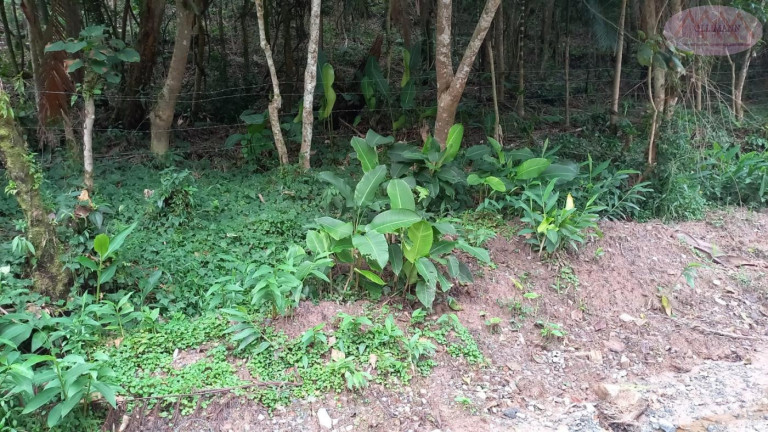 Imagem Terreno à Venda, 3.504 m² em Represa - Ribeirão Pires Imagem Terreno à Venda, 3.504 m² em Represa - Ribeirão Pires