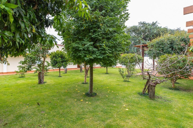 Imagem Casa com 1 Quarto à Venda, 509 m² em Alto De Pinheiros - São Paulo