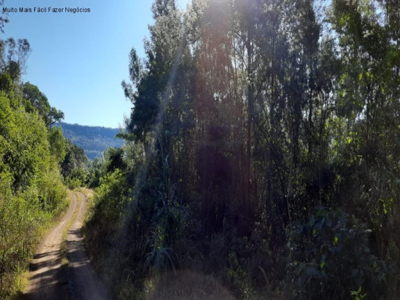 Imagem Terreno à Venda, 3 m² em Pendancino - Nova Petrópolis Imagem Terreno à Venda, 3 m² em Pendancino - Nova Petrópolis